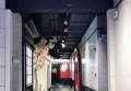 楼市医疗招聘文案（房地产与医疗行业人才招募创意文案）