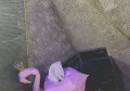班组长怎么招聘文案（招募班组长：创意招聘文案策略）