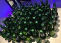 团播主持招聘文案（招募团播节目主持人才公告）