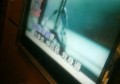 采购人事招聘文案（招聘采购与人事专员文案）