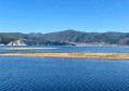 托幼招聘老师文案（幼教岗位诚聘英才：携手共筑童年梦想）