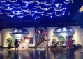 杭州钱塘区白杨街道附近酒吧招聘酒水促销员,招聘电话多少